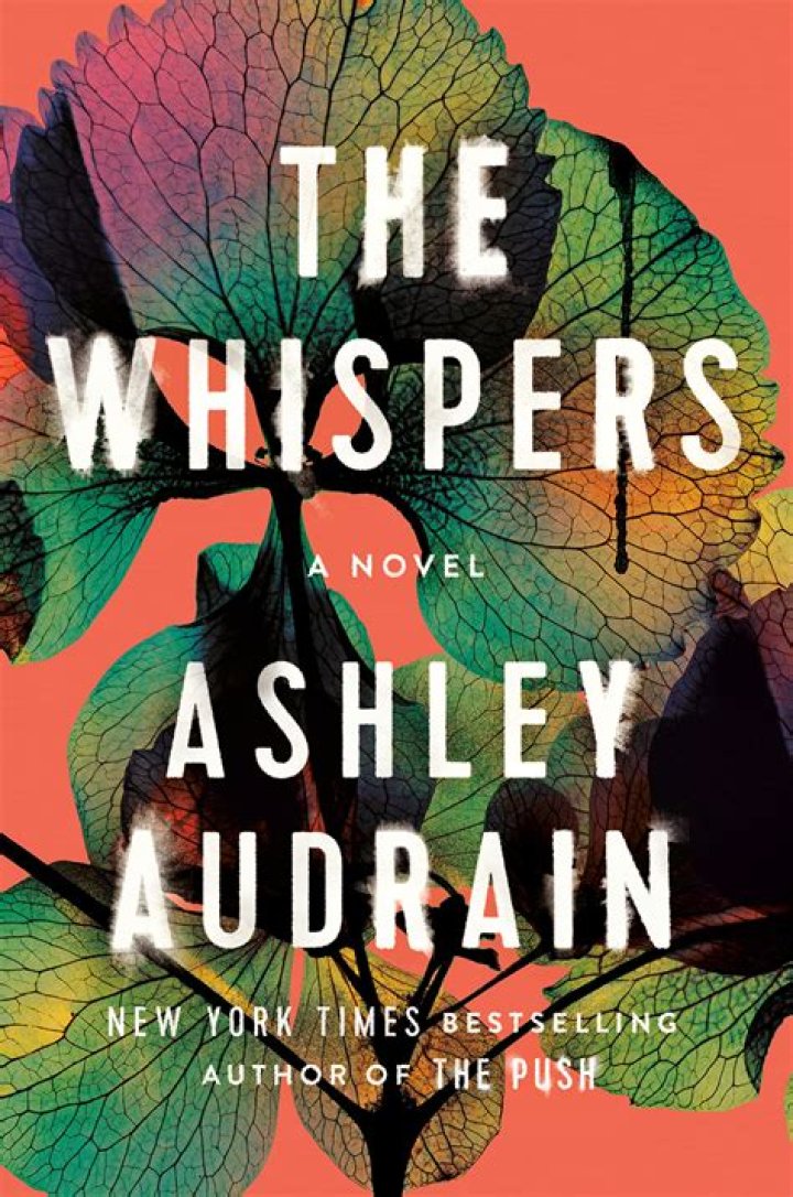 Alexander Perkins Height, Weight, Net Worth, Age, Birthday, Wikipedia, Who, Instagram, Biography
