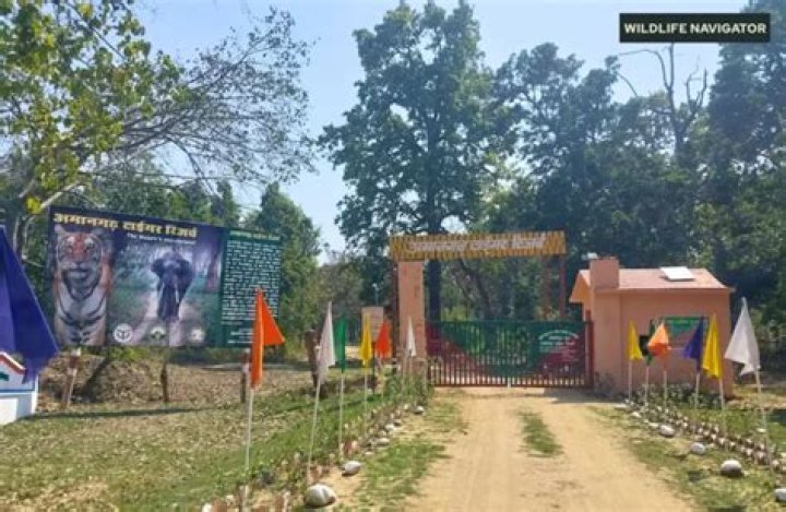 
Amangarh Tiger Reserve in UP likely to open from November 