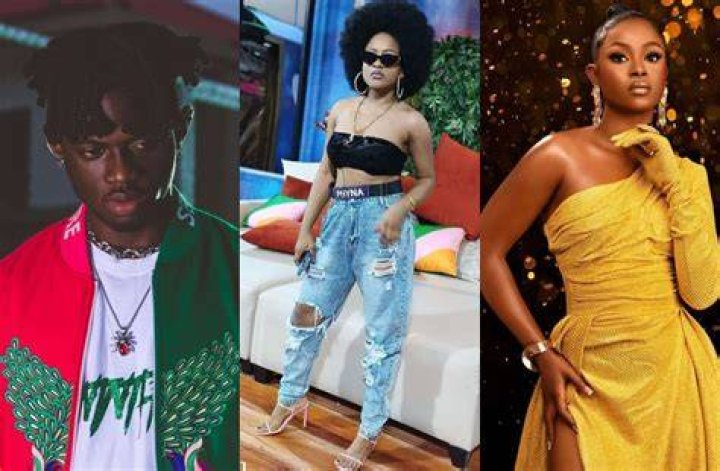 
BBNaija Season 7: Confusion As Alleged Voting Results Leak Online; Bryann, Phyna And Bella Top List 