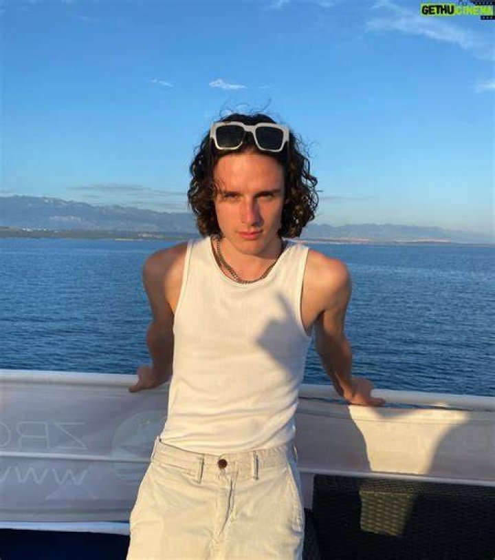 
Harry Collett Height, Weight, Net Worth, Age, Birthday, Wikipedia, Who, Nationality, Biography 