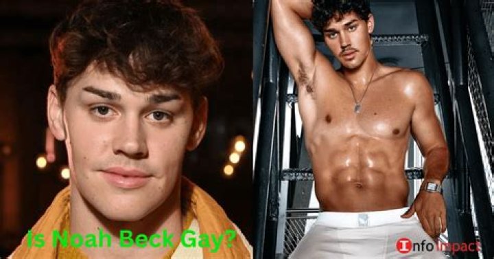 
Is Noah Beck Gay? What is His Relationship Status With Whom? 