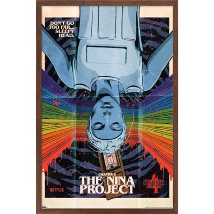 Is the Nina Project In Stranger Things Real & Was It Inspired By Nina Kulagina?