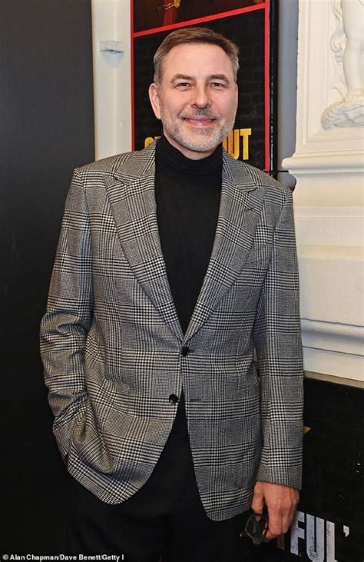 Is The “Who Do You Think You Are?” Actor David Walliams Gay Or Pansexual & Does He Have A Partner In 2022?