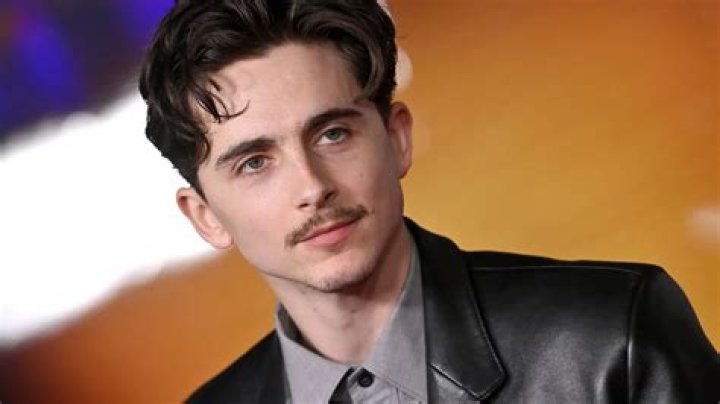 Is Timothee Chalamet Gay? Know More About Him!