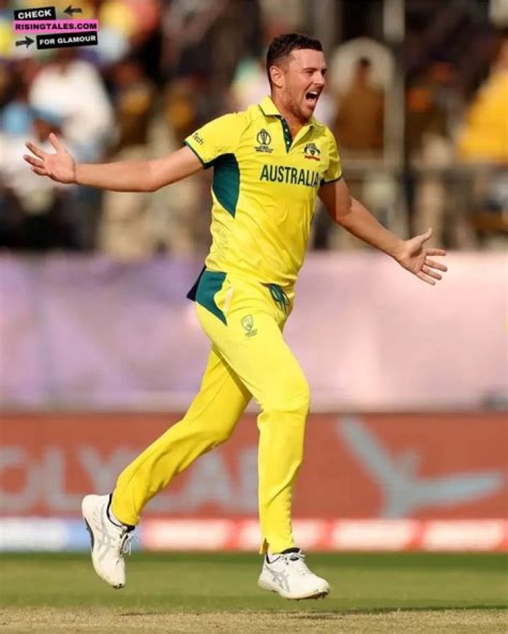 
Josh Hazlewood Height, Weight, Net Worth, Age, Birthday, Wikipedia, Who, Nationality, Biography 