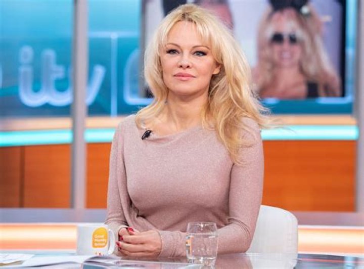 
Li Andersson Height, Weight, Net Worth, Age, Birthday, Wikipedia, Who, Instagram, Biography 