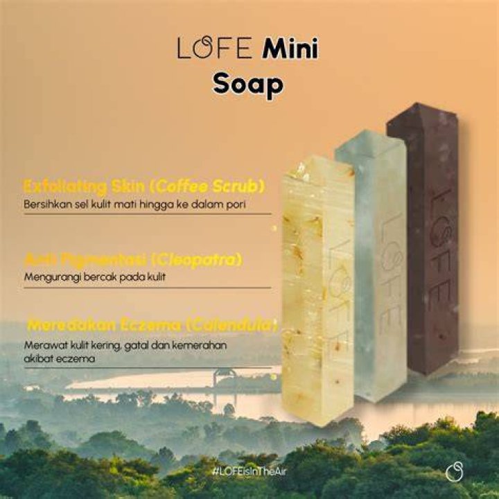  lofe.official