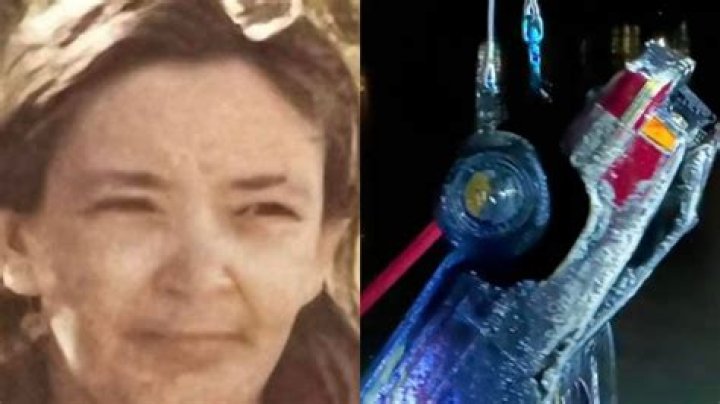 
Maureen Sherman Missing, What Happened to Maureen Therese Sherman? Was Maureen Sherman Found? 