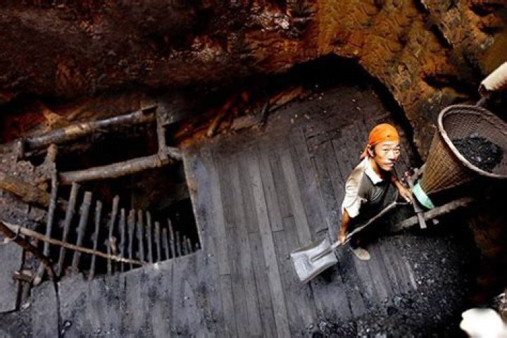 
Meghalaya district’s fresh order bans rat hole coal mining 
