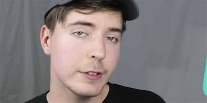 
Mr Beast Wiki Bio, net worth, age, brother, girlfriend, family 