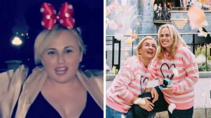 
Rebel Wilson Confesses Disneyland Banned Her For A Bathroom Selfie 