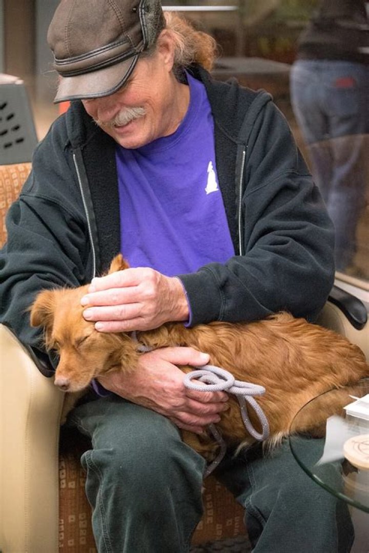 
Rescue Flight Helps 23 Senior Shelter Dogs Find Homes So ‘No Old Dog Dies Alone and Afraid’ 