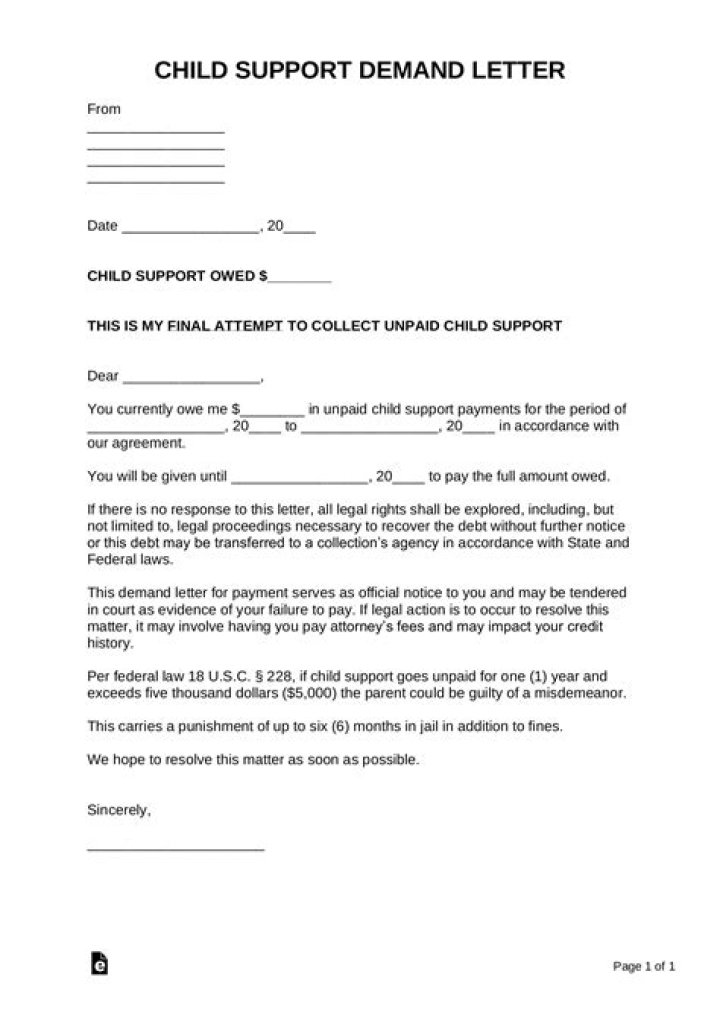 
Safaree Have To Pay For A Child Support Every Month Following The Divorce Agreement 