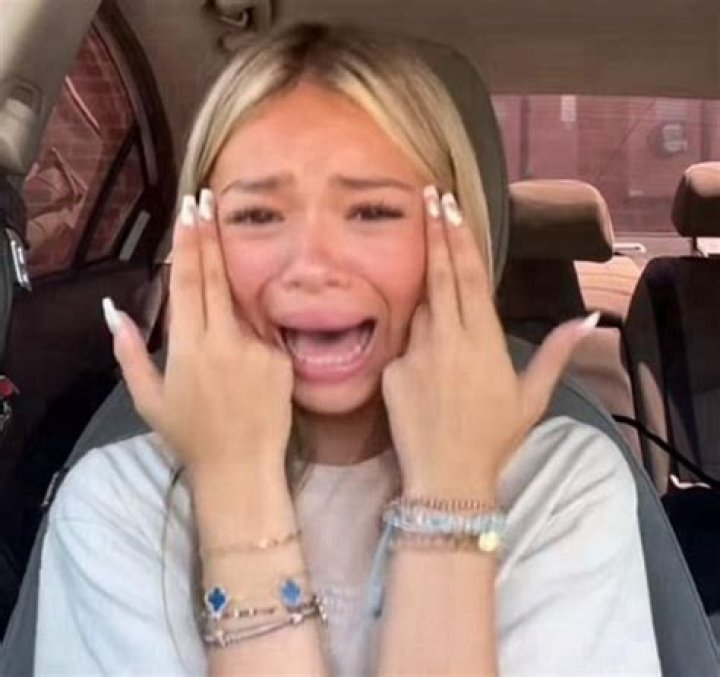 
Sticker De Tiktok Fox Is Trending After Scary Stickers Go Viral on The App 