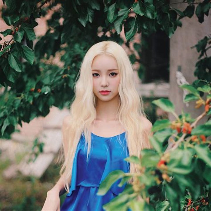 The Untold Truth of LOONA Member – JinSoul
