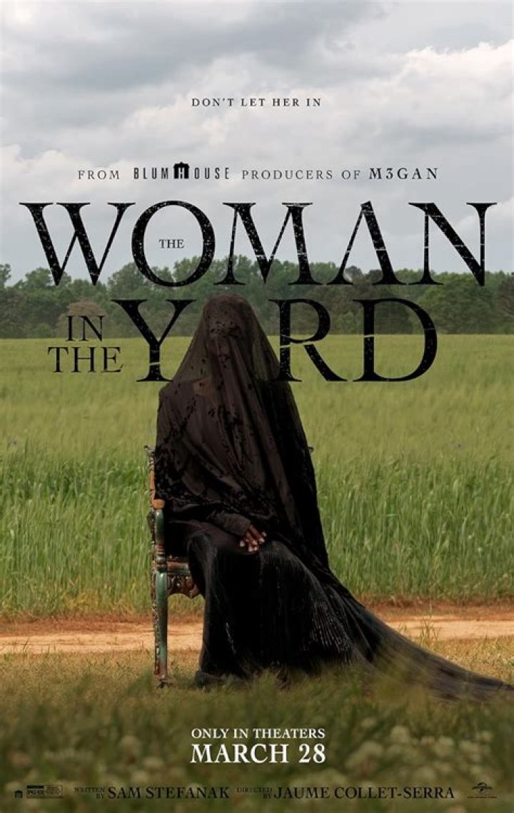 The Woman in the House: Is The Woman Across the Lake a real book?
