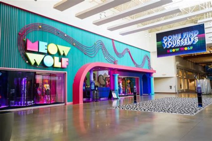 What Happened To Matt King From Meow Wolf? Are The Rumors Of His Death True?