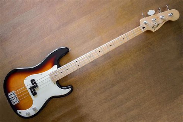 
Who Are Linda Bass And Ed Bass- Details To Know About Anthony Bass Parents 