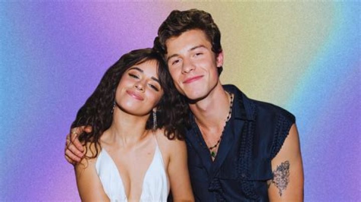 
Who Is Shawn Mendes Dating 2022? Does Shawn Mendes Not Want A New Girlfriend? 